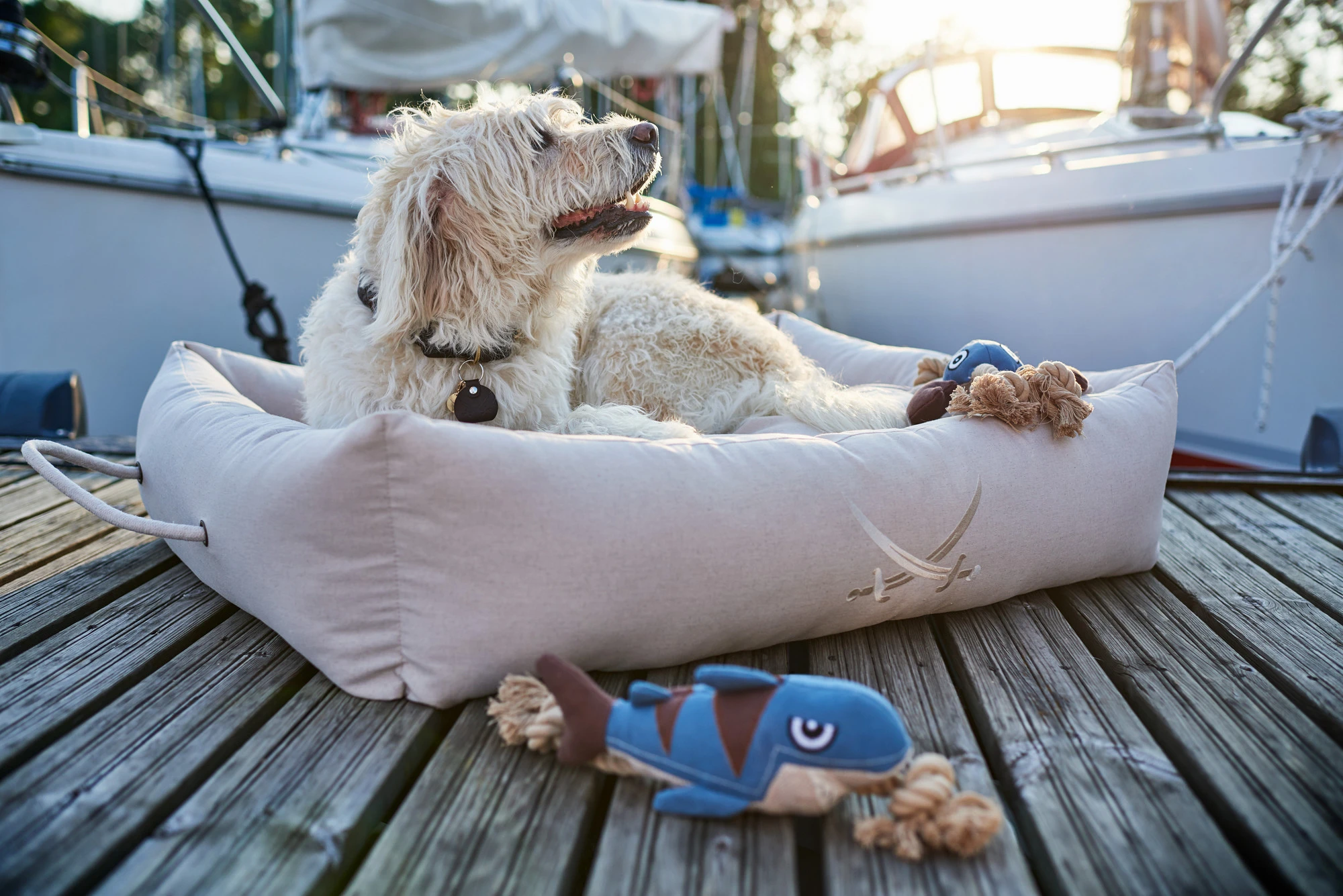 Hunter Sansibar Solid 35 Hundehalsbånd i læder - 24-30 cm